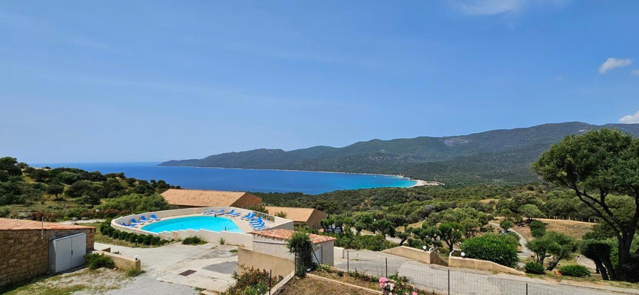 Chalereux T2 Vue Mer Et Piscine Alba Rossa Serra-di-Ferro  Eksteriør bilde